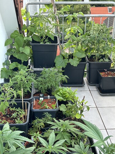 Growreport Bild 12