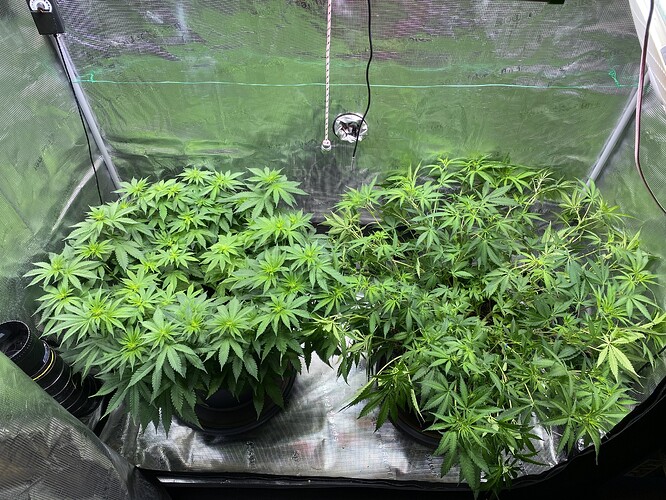 Growreport Bild 3