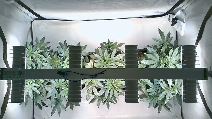 Growreport Bild 8