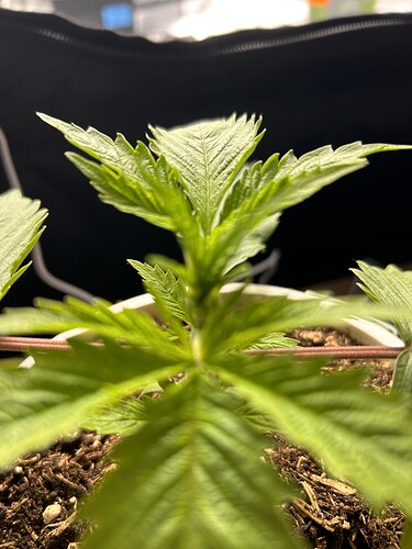Growreport Bild 10