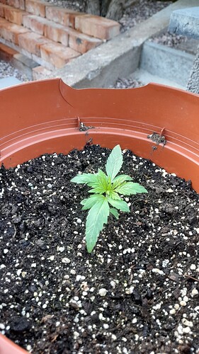 Growreport Bild 3