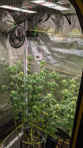 PXL_20240526_205350937