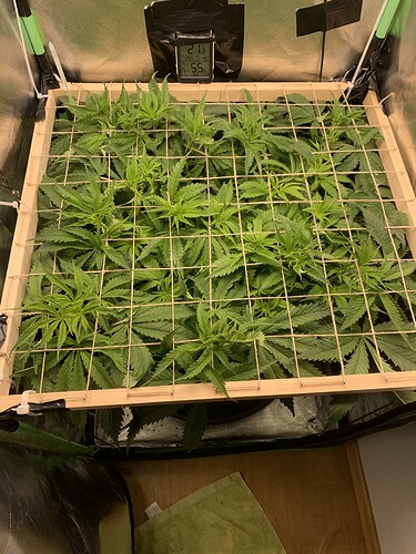 Growreport Bild 23