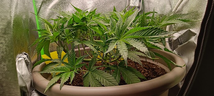 Growreport Bild 10