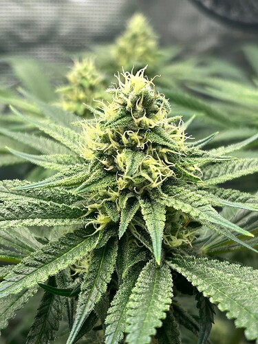 Growreport Bild 10