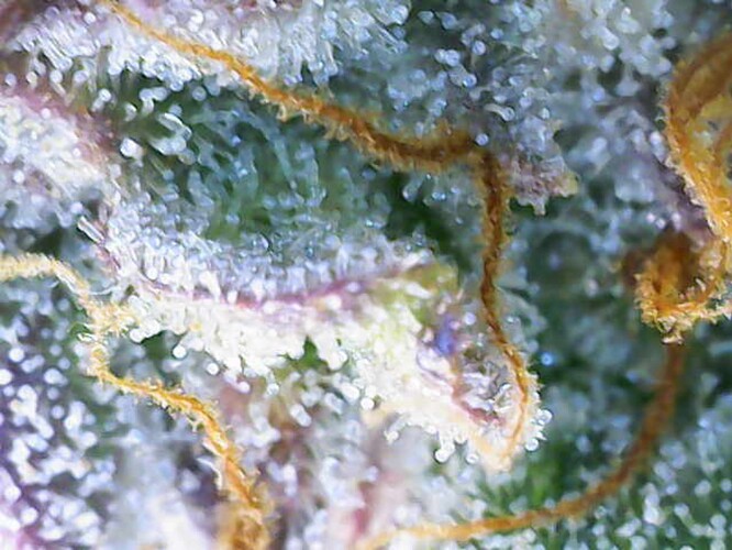 Photo_2024-07-06 20_03_14_614