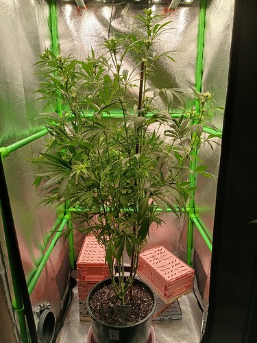 Growreport Bild 24