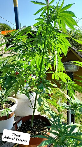 Growreport Bild 18