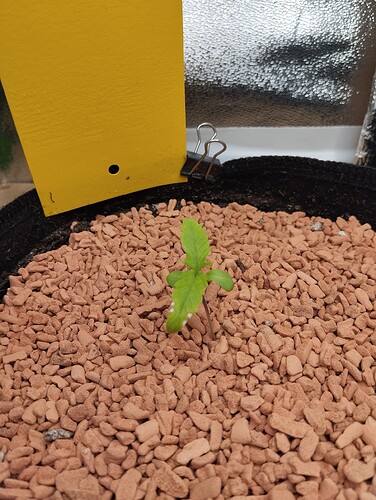 Growreport Bild 21