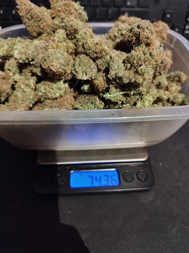 Growreport Bild 2