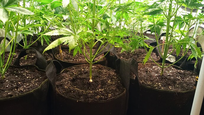 Growreport Bild 9