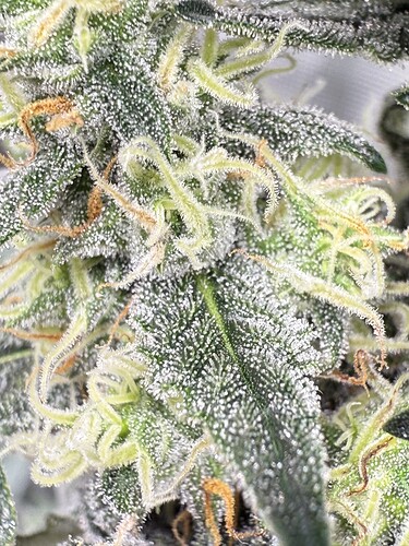 Growreport Bild 17