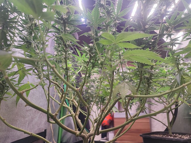 Growreport Bild 27