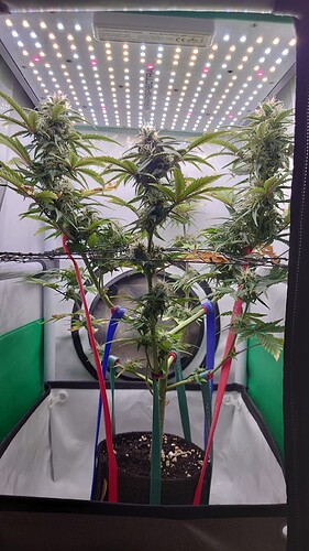 Growreport Bild 11