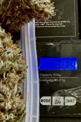Growreport Bild 3