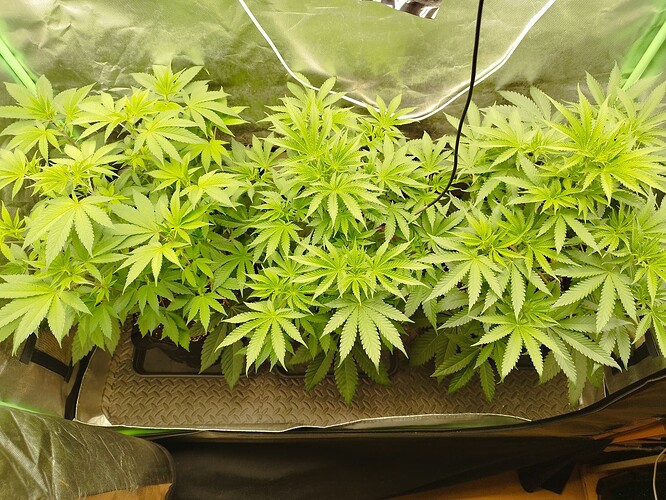 Growreport Bild 11