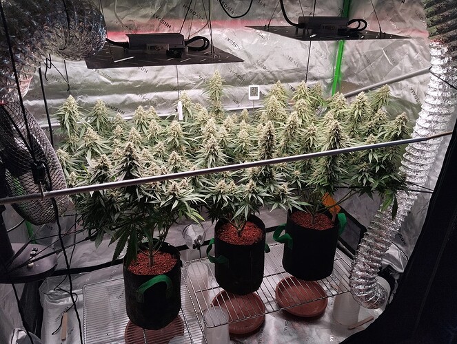 Growreport Bild 12