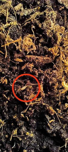 Growreport Bild 28
