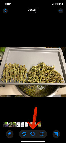 Growreport Bild 28