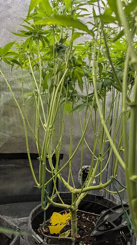 Growreport Bild 4