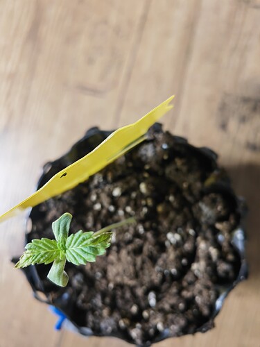 Growreport Bild 14