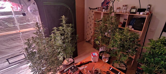Growreport Bild 8