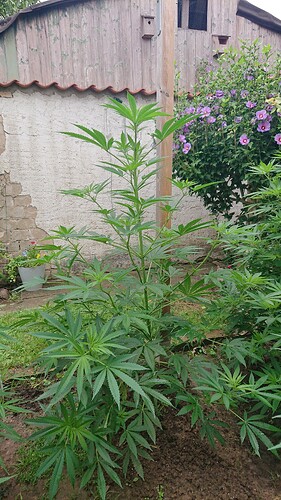 Growreport Bild 12