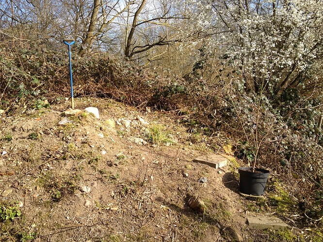 Growreport Bild 47