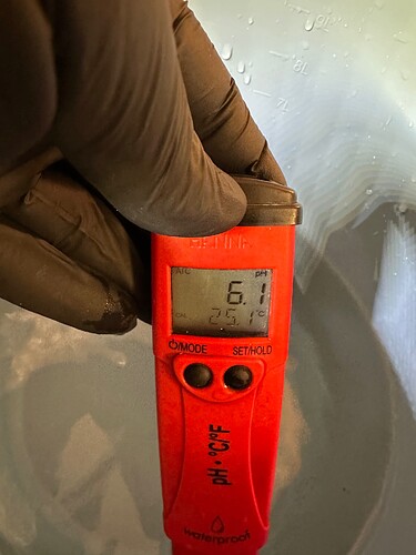 Growreport Bild 19