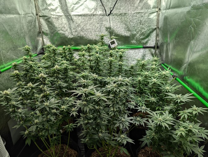 Growreport Bild 2