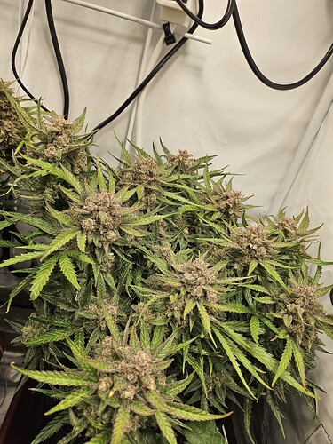 WhatsApp Bild 2024-04-26 um 11.08.58_6ebb0b9f