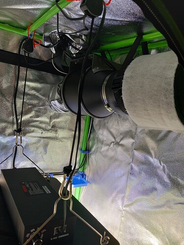 Growreport Bild 8