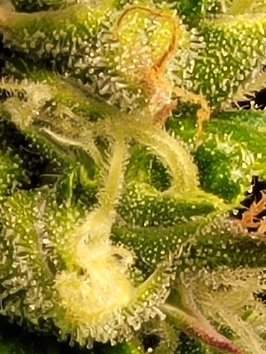 Growreport Bild 23