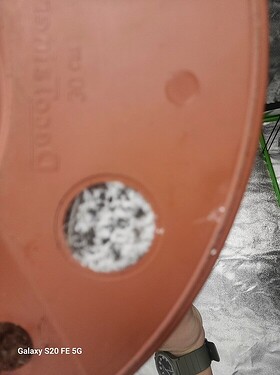 37a4a8d7edf6ece9833bcc6907ec0f680a6b5678_2_562x750