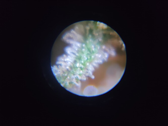 Growreport Bild 8