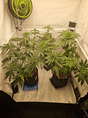 Growreport Bild 23