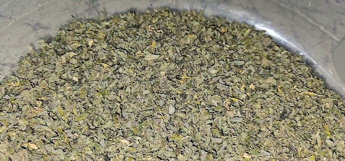 Growreport Bild 41