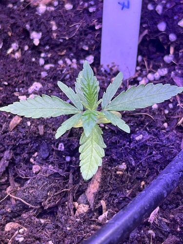 Growreport Bild 16