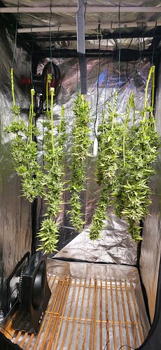 Growreport Bild 22