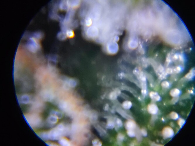 Growreport Bild 49