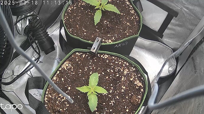 Growreport Bild 1