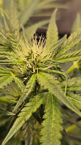 Growreport Bild 10
