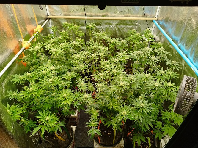 Growreport Bild 6