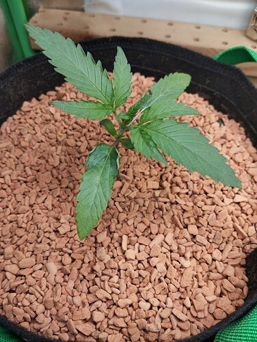 Growreport Bild 19