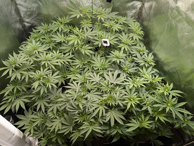 Growreport Bild 10