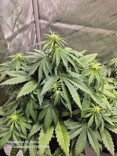 Growreport Bild 10