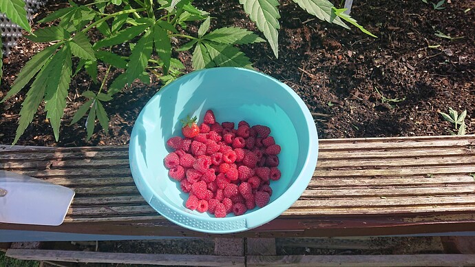 Growreport Bild 34