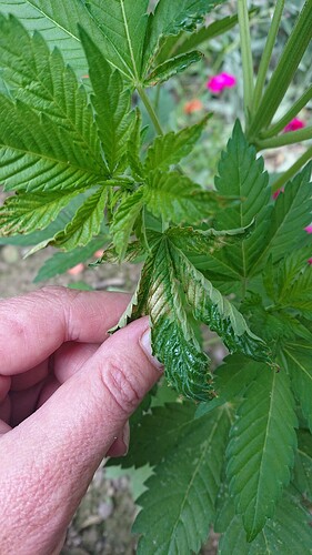 Growreport Bild 26
