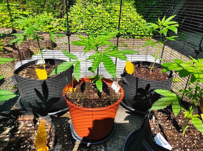 Growreport Bild 5