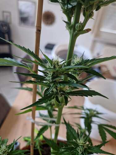 WhatsApp Image 2024-06-27 at 18.04.12 (2)